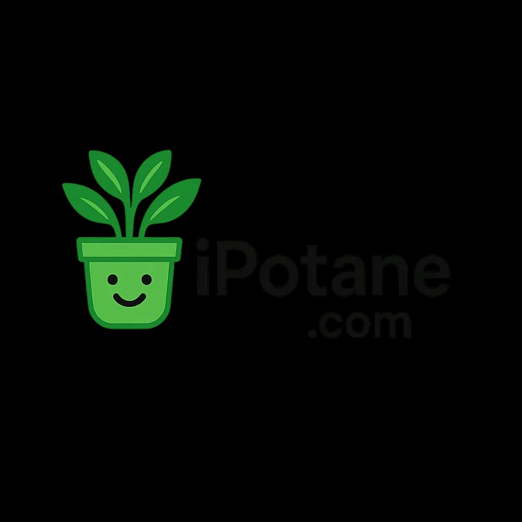 iPotane.com